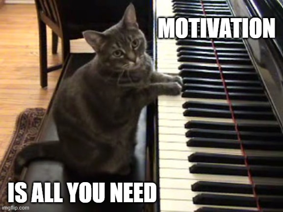 piano motivation cat.jpg